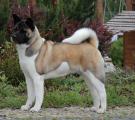 DSC_0870 kopie.jpg